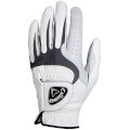 Cal Tech Series Gloves #23