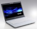 Sony Vaio VGN-FE690P09 (Intel Core Duo T2500 2GHz, 1GB RAM, 120GB HDD, VGA Intel GMA 950, 15.4 inch, Windows XP Professional)