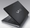 Sony Vaio VGN-CR290E1 (Intel Pentium Dual Core T2330 1.6GHz, 1GB RAM, 80GB HDD, VGA Intel GMA X3100, 14.1 inch, Windows Vista Home Premium)