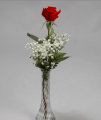 1REDROSE01