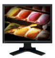 EIZO S2000 21.1inch 