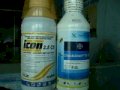 Thuốc diệt côn trùng chuyên dụng ICON 2,5CS