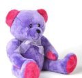 TEDDY08