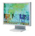 NEC Multisync LCD1980SX