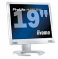 Iiyama Pro Lite H431S-W