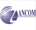 Ancom cung cấp dịch vụ kế toán, thuế