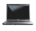 Toshiba Satellite L300-A511 (Intel Pentium Dual Core T2390 1.86GHz, 512MB RAM, 80GB HDD, VGA Intel GMA X3100, 15.4 inch, PC DOS)  