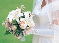Hoa cưới trắng hồng 