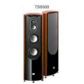 Loa JBL Stallboy TS6000