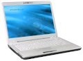 Toshiba Portege M800-E330 (Intel Core 2 Duo T8100 2.1Ghz, 1GB RAM, 120GB HDD, VGA Intel GMA X3100, 13.3 inch, Windows Vista Home Premium) 