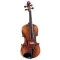 Violin V006