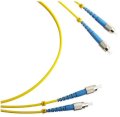 Dây nhảy quang PATCHCORD FC-FC Multi-mode 3m 