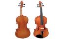 Violin V011