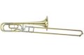Saxophone YSL-620