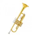Trumpet b-B Lacquered /Nickel/Silvergilt  MK003  