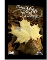 DVD Tình ca mùa lá rụng