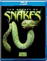 The Beauty of Snakes (2008)