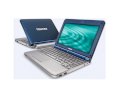 Toshiba mini NB205-N312BL (Royal Blue) (Intel Atom N280 1.66GHz, 1GB RAM, 160GB HDD, VGA Intel GMA 950, 10.1inch, Windows XP Home Edition)