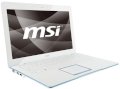 MSI X400-1462 (Intel Pentium SU4100 1.3GHz, 2GB RAM, 320GB HDD, VGA Intel GMA 4500MHD, 14 inch, PC DOS)