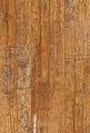Sàn gỗ Sennorwell 12.3 mm CX 55