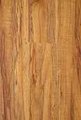 Sàn gỗ Sennorwell 10.2 mm 993