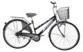 Xe đạp 2 gióng Asama AMT E1