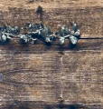 Sàn gỗ Kronoloc B6067
