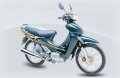 YIN XIANG Cub YX110-4