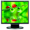 NEC Display Solutions LCD175M-BK 17inch