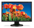 NEC Display Solutions E222W-BK 22inch