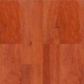Sàn gỗ Pergo Family Alder Select PF 1211