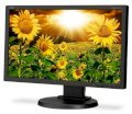 NEC Display Solutions E201W-BK 20inch