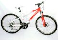 Xe đạp MOUNTAIN X-PLORER (Trắng,Đỏ) 