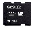 SanDisk MS Micro (M2) 1GB