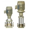 Evergush ECDL1 Vertical Multi Stage Centrifugal pump