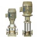 Evergush ECDL2 Vertical Multi Stage Centrifugal pump 