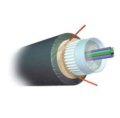 AMP FO (Cáp Quang) >> AMP Fiber Optic Cable, Outside Plant (1-1427431-4) 