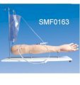 Mô hình tiêm bắp (Tiêm cánh tay ) SMF0163 Suzhou,TQ