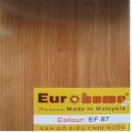 Sàn gỗ Euro Home EF87