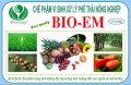Chế phẩm BIO-EM dùng xử lý chất thải hữu cơ làm phân bón vi sinh