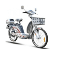 Xe đạp điện ECO-TDL43Z