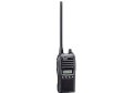 ICOM IC-F3021T (Phiên bản 1D01)