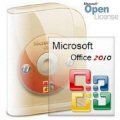 Microsoft Office Small Business Basics 2010 SNGL OLP NL GetGenuine