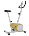 Máy tập đạp - xe đạp - SPIRIT 1260N Upright Magnetic Bike (Manual Tension)