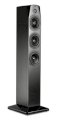 Loa NHT Absolute Tower Speaker