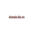 Tên domain .biz.vn