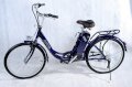 xe đạp điện NTB 211-31WB 