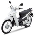 Honda Wave Alpha 2012 (Màu Trắng)