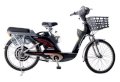 Xe đạp điện ASAMA ASG-22 (đen)