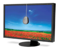 NEC MultiSync LCD3090W-BK 30 inch